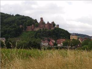 Burg Wertheim